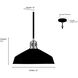 Axlen 1 Light 12 inch Matte Black and Vintage Brass Pendant Ceiling Light