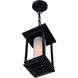 Granville 1 Light 6.9 inch Black Outdoor Hanging Light