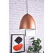 Circa 1 Light 11.5 inch Honey Gold Pendant Ceiling Light