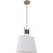 Parker 1 Light 10.43 inch Fired Steel/Satin Brass Pendant Ceiling Light