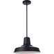 Briscoe 1 Light 15 inch Midnight Outdoor Pendant