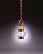 Onion 1 Light 6 inch Verdi Gris Hanging Lantern Ceiling Light Optic Glass