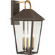 Bayra 3 Light 21 inch Painted Legacy Brass and Dark Bronze Outdoor Wall Lantern
