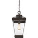 Ravine 1 Light 10 inch Western Bronze Mini Pendant Ceiling Light, Small