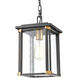 Vincentown 1 Light 8 inch Matte Black with Brushed Brass Outdoor Pendant