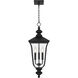 Farley 3 Light 9.75 inch Matte Black Outdoor Hanging Lantern