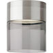Sean Lavin Manette LED 5 inch Satin Nickel Flush Mount Ceiling Light in Transparent Smoke Glass, LED 2700K 277V, Integrated LED
