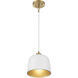Vintage 1 Light 9 inch White and Natural Brass Pendant Ceiling Light in White with Natural Brass