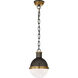 Thomas O'Brien Hicks 1 Light 8.5 inch Bronze with Antique Brass Pendant Ceiling Light in Bronze and Hand-Rubbed Antique Brass, Small