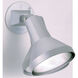 Brentwood 1 Light 5 inch Gray Outdoor Flood Light