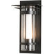Torch 1 Light 16.2 inch Coastal Black Outdoor Sconce