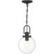 Wenston 1 Light 8 inch Sand Coal Outdoor Pendant, Great Outdoors