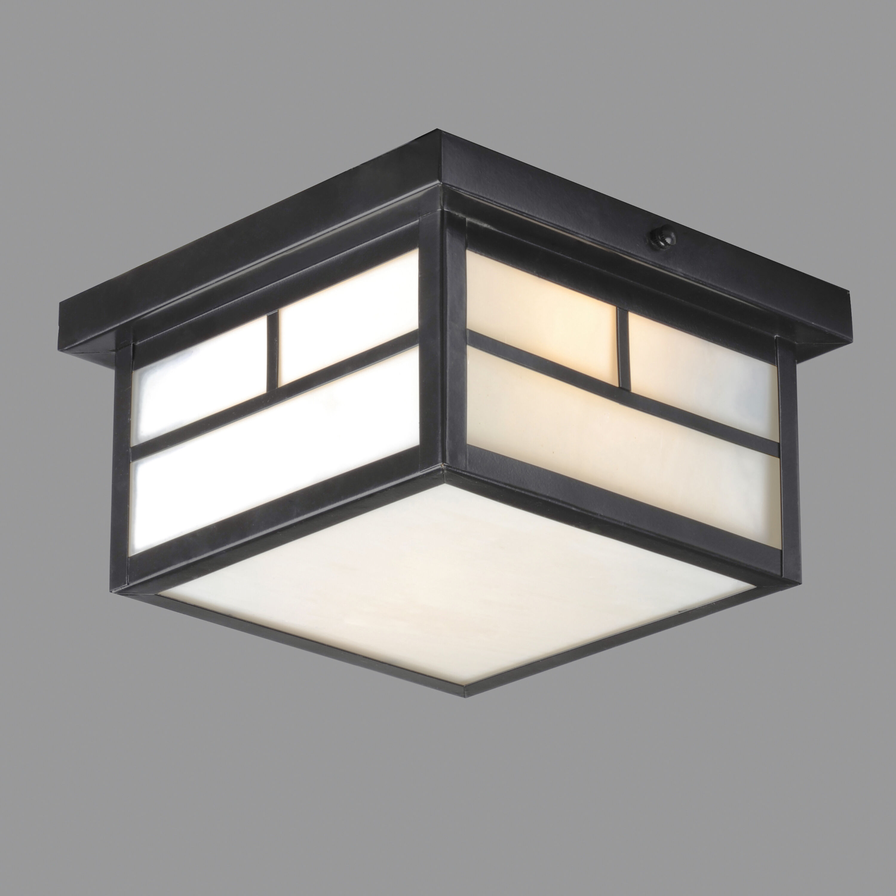 Coldwater 2 Light 9 inch Black Outdoor Flush Mount in White