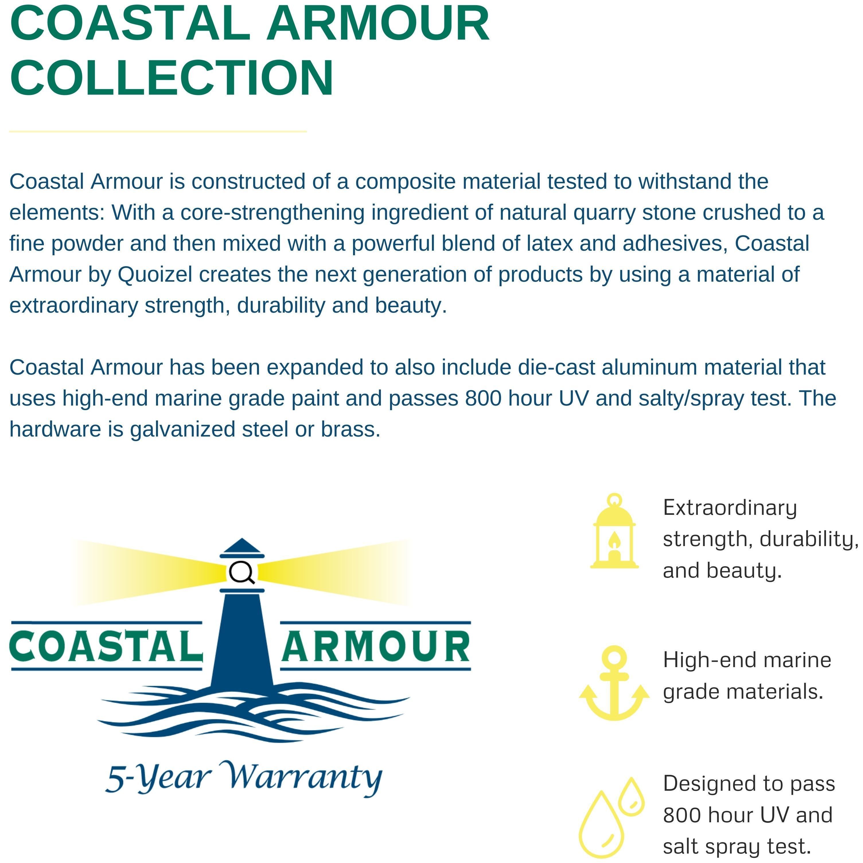 Darius 1 Light 11 inch Earth Black Outdoor Hanging Lantern