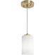 Leo 1 Light 4 inch Light Antique Brass Pendant Ceiling Light