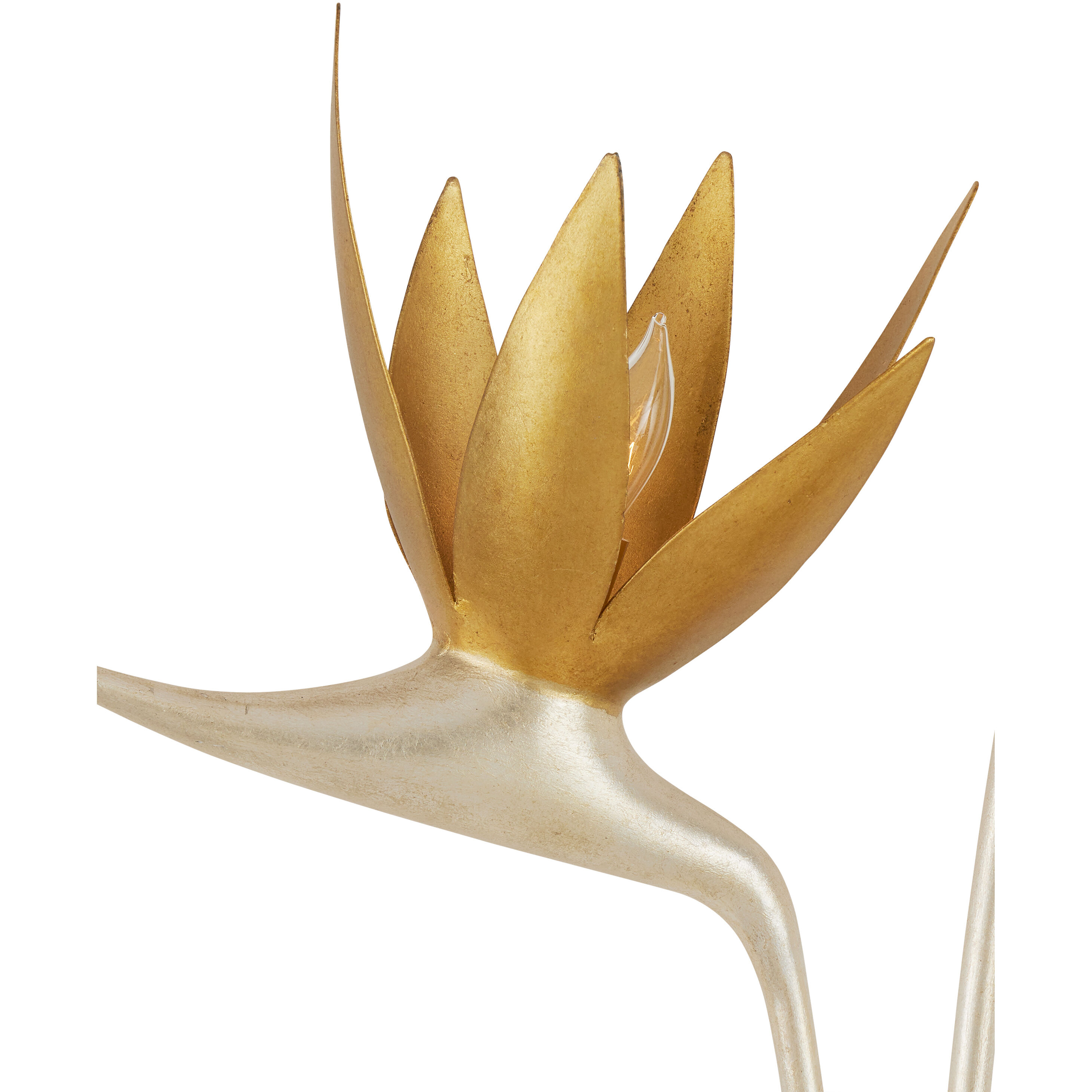 Paradiso Wall Sconce Wall Light, Right