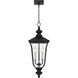 Farley 3 Light 9.75 inch Matte Black Outdoor Hanging Lantern