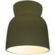 Radiance LED 7.5 inch Matte Green Outdoor Flush Mount