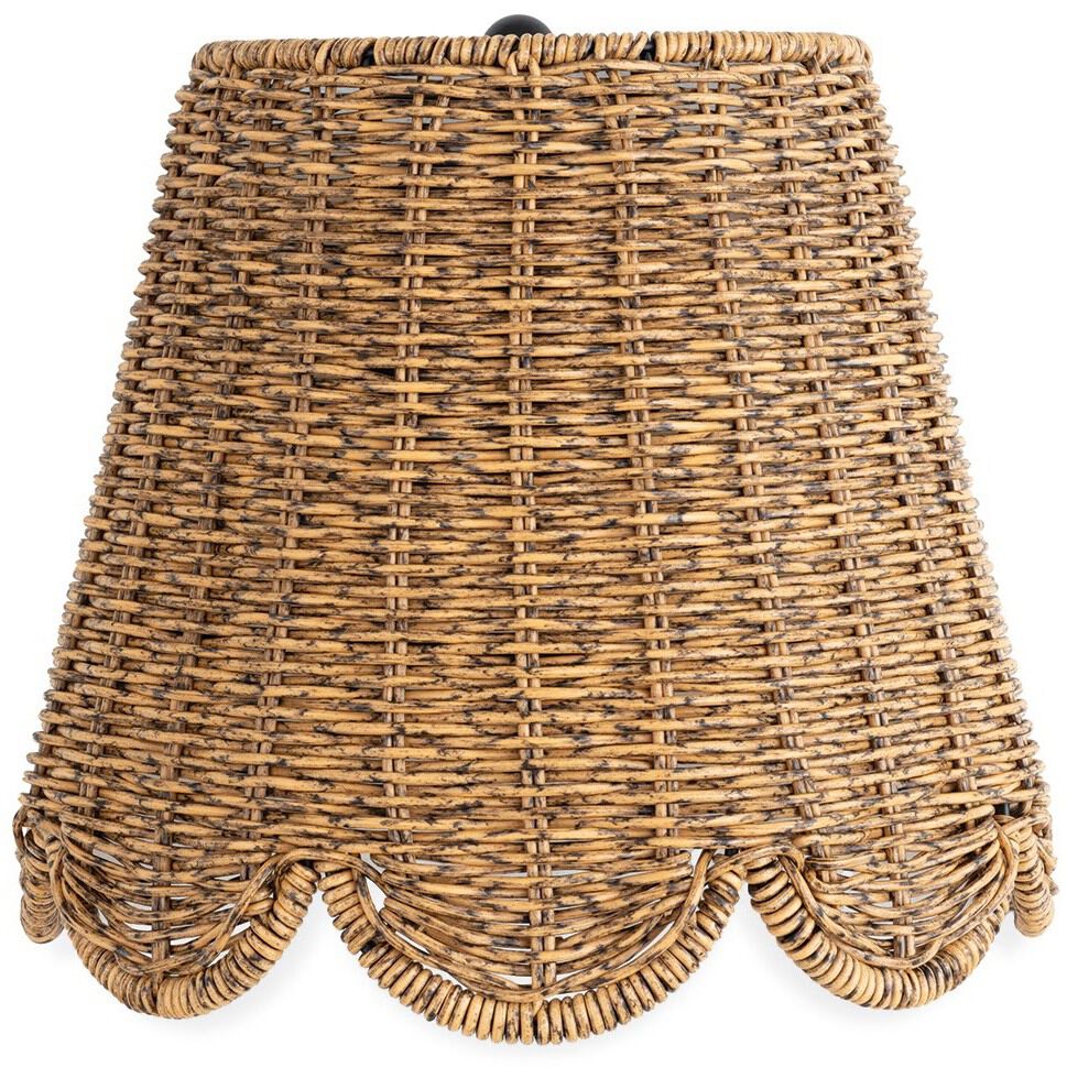 Summer 1 Light 11.75 inch Black Outdoor Sconce