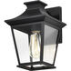 Jasper 11 inch Matte Black Outdoor Wall Lantern, Small