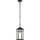Raiden 8 inch Matte Black Outdoor Hanging Lantern