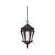 Stratford 1 Light 10 inch Architectural Bronze Exterior Hanging Lantern