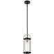 Bonita LED 5.7 inch Black and Brushed Brass Pendant Ceiling Light
