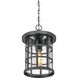 Crusade 1 Light 10 inch Earth Black Outdoor Hanging Lantern