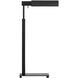 Leonard 43.5 inch 9.00 watt Aged Iron Task Floor Lamp Portable Light