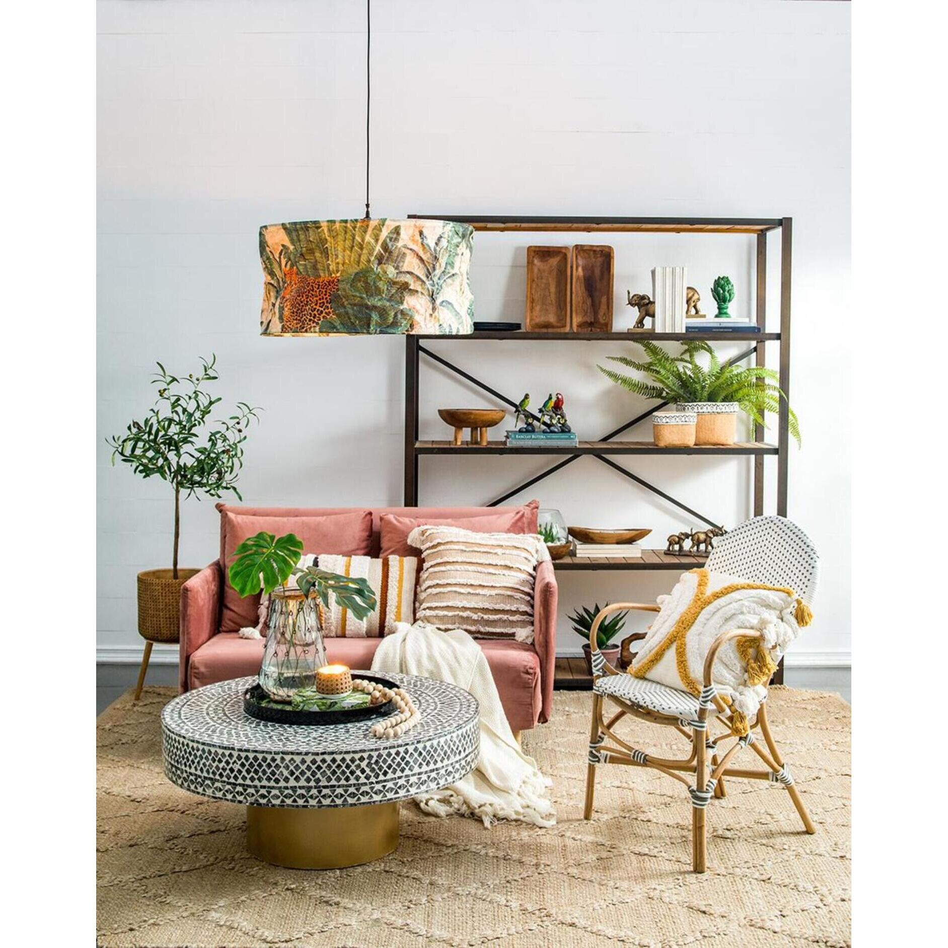 Macaw Brown and Multi-Color Figurine, Set of 3