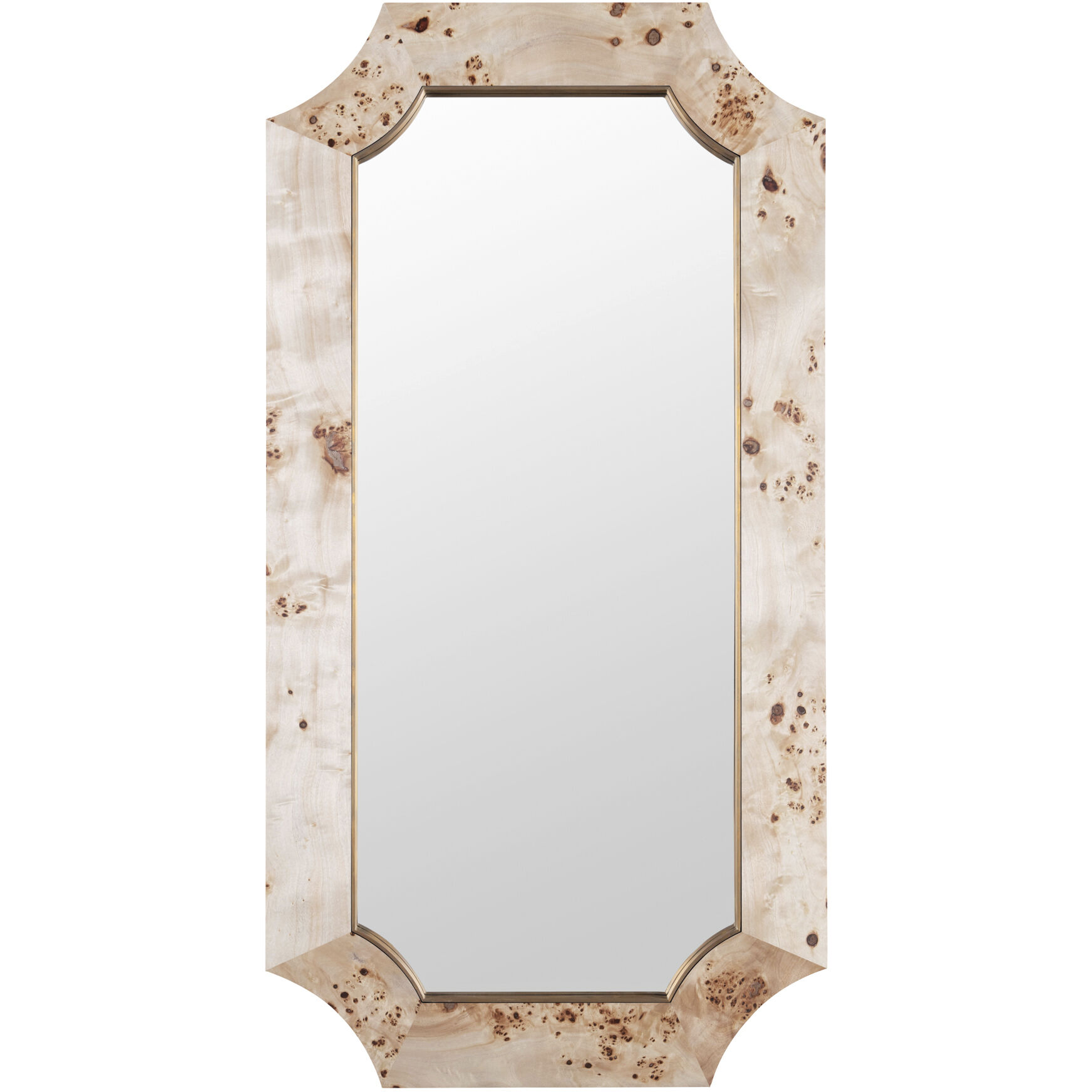Farra 54.00 inch  X 28.00 inch Wall Mirror
