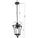 Belgrade 1 Light 7 inch Black Outdoor Pendant