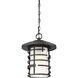 Lansing 1 Light 11 inch Textured Black Outdoor Hanging Lantern