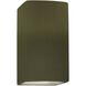 Ambiance LED 5.25 inch Matte Green ADA Wall Sconce Wall Light