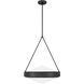 Agate 4 Light 20 inch Matte Black Pendant Ceiling Light