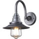 Insulator Glass Sconce Wall Light in Weathered Zinc