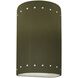 Ambiance LED 5.75 inch Matte Green Wall Sconce Wall Light