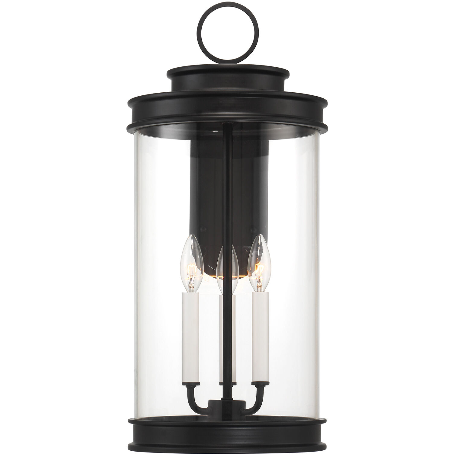 Englewood Outdoor Wall Lantern