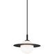 Saturn 1 Light 12 inch Black and Opal Pendant Ceiling Light in Black and Opal Glass