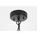 Amaris 1 Light 4 inch Black Outdoor Pendant