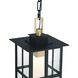 Greyson 1 Light 7.5 inch Brass and Black Outdoor Pendant