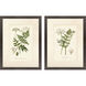Queen's Lace Green and Neutral Framed Art, Propac