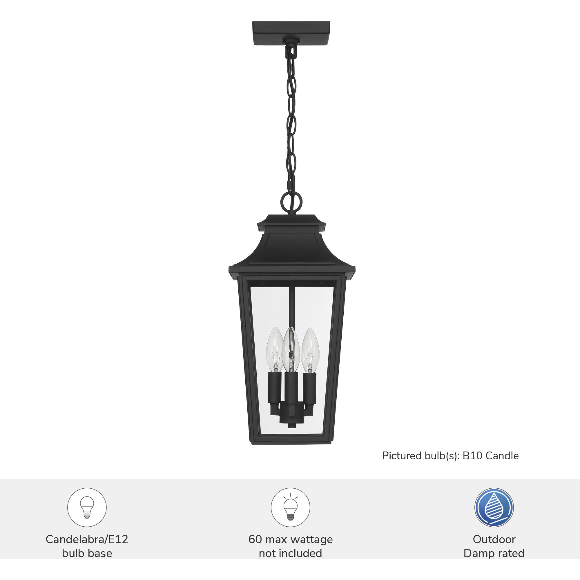 Spring Cove 3 Light 8 inch Matte Black Outdoor Pendant, Large