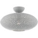 Charlton 1 Light 16 inch Nordic Gray with Brushed Nickel Accents Semi Flush Ceiling Light