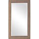 Valles 46 X 26 inch Golden Rust Wall Mirror