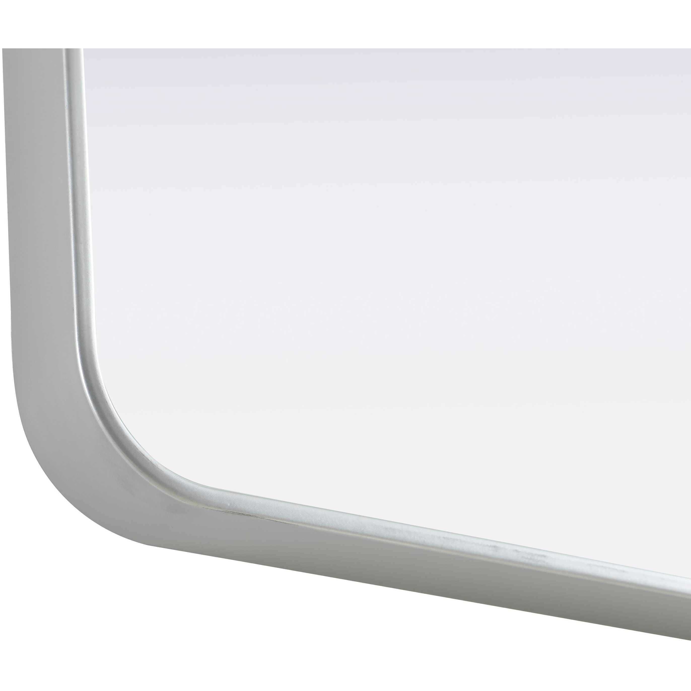 Remy 30 X 20 inch Silver Mirror