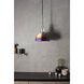 Forked LED 9.84 inch Burnt Steel Pendant Ceiling Light