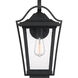 Darius 1 Light 18 inch Earth Black Outdoor Wall Light