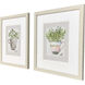 Herb & Wildflower I Green and Multi and Gray and Pink Framed Art, Propac