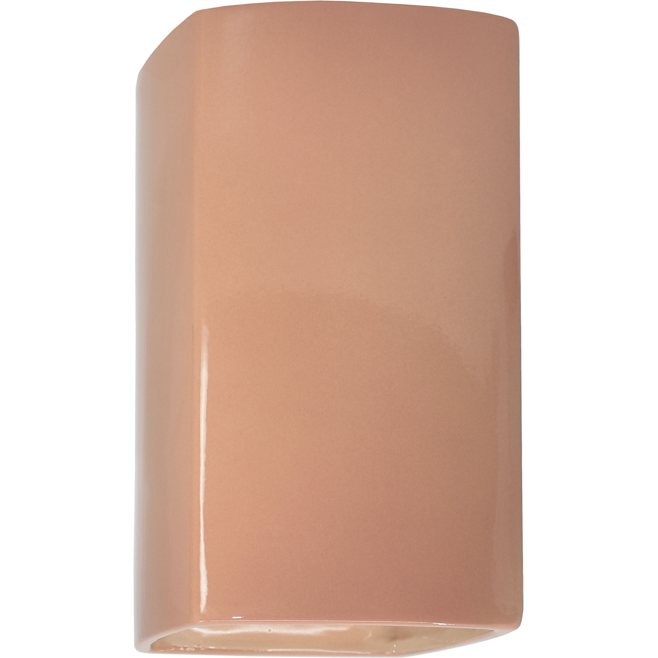 Ambiance LED 9.5 inch Gloss Blush Outdoor Wall Sconce
